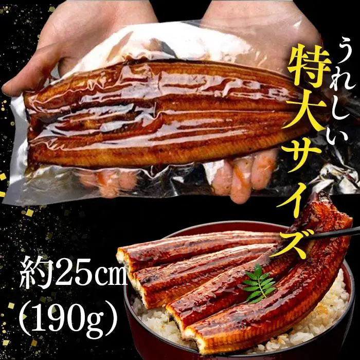 C01-J25 特大うなぎ長蒲焼 570g
