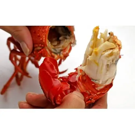 C02-E44 訳ありボイル伊勢海老1kg