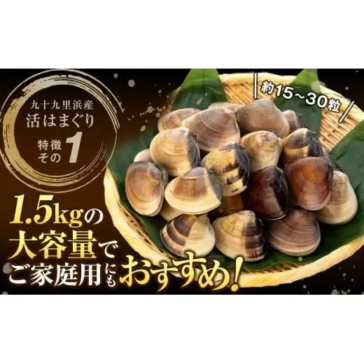 C01-J53 千葉県産活ハマグリ 1.5kg