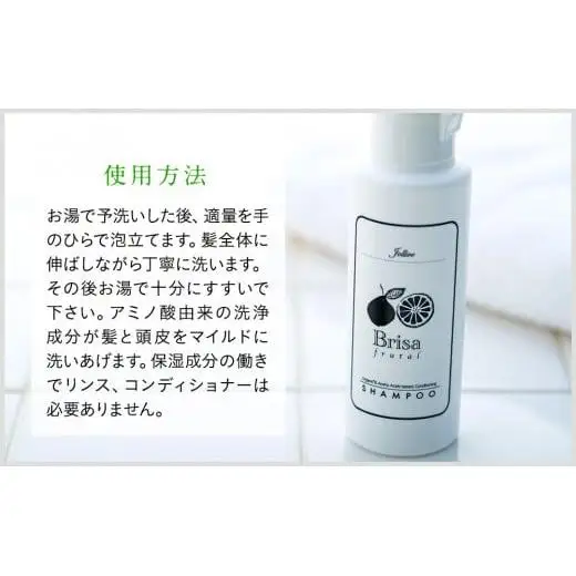L01-010 ブリッサフルータル ノンシリコンシャンプー（100mL×2本）