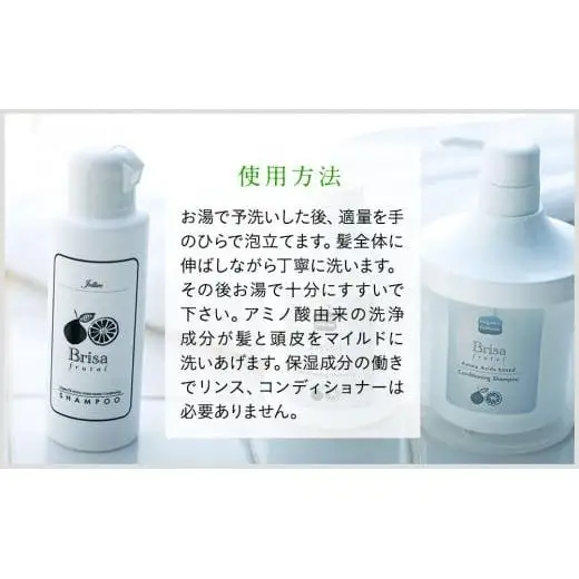 L02-011 ブリッサフルータル ノンシリコンシャンプー（500mL×1本、100mL×1本）
