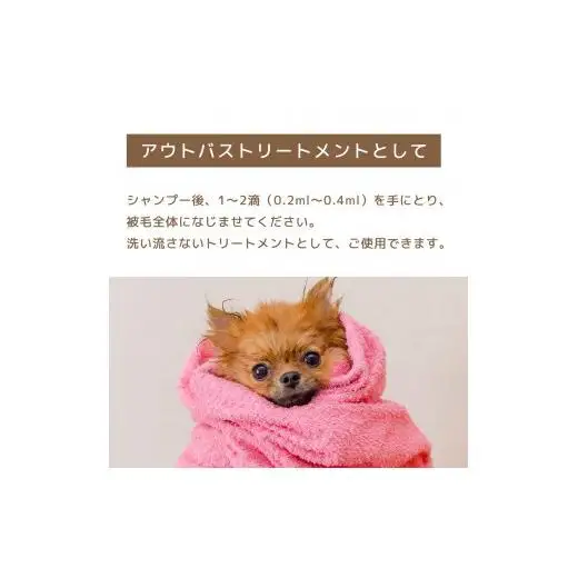 L01-020 ロッティシャイニーオイル（25mL×1本）