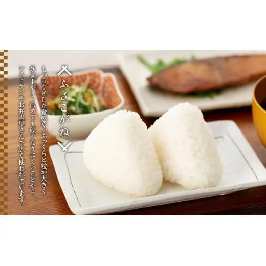 H04-B01 ふさこがね（玄米30kg）令和8年産