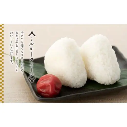 H04-B03 ミルキークイーン（玄米30kg）令和8年産