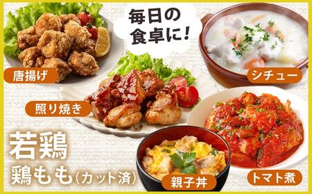 宮崎県産豚肉切り落とし&鶏もも肉(カット済)【総重量3kg】_12-M607_(都城市) 宮崎県産豚肉 切り落とし 宮崎県産若鶏 もも切身 真空パック 小分け 若鶏 唐揚げ チキン南蛮 てりやきチキン カレー ストック