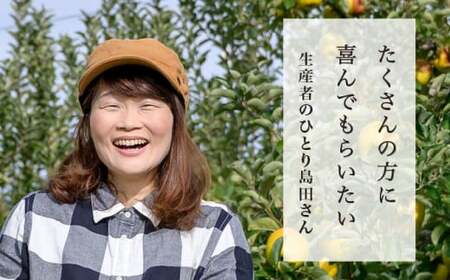【訳あり】 シナノゴールド 約3kg 6～12玉 ［おぶせファーマーズ］ 不揃い 規格外 家庭用  果物 フルーツ りんご 林檎 リンゴ 長野県産 信州産 令和8年産 【2026年10月中旬～2027年1月上旬発送】 ［FH-53］