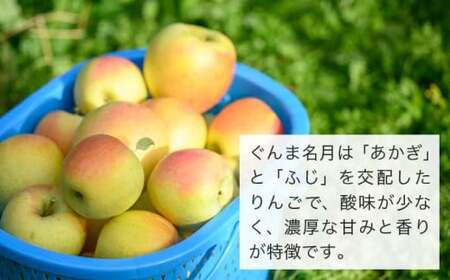 【訳あり】 ぐんま名月 約3kg 6～12玉 ［おぶせファーマーズ］  不揃い 規格外 家庭用 果物 フルーツ りんご リンゴ 林檎 長野県産 信州産 令和8年産 【2026年11月上旬～12月下旬発送】 ［FH-55］