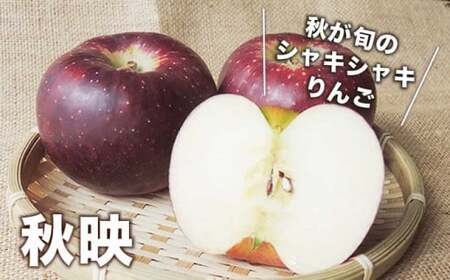 【訳あり】 秋映 約3kg 6～12玉 ［おぶせファーマーズ］ 不揃い 規格外 家庭用 果物 フルーツ りんご 林檎 リンゴ 長野県産 信州産 令和8年産 【2026年9月下旬～10月中旬発送】  ［FH-52］