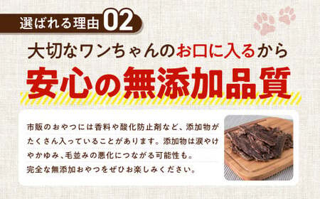 馬肉ヘルシージャーキー 3袋 40g×3袋 120g ペット用 ジャーキー 馬肉 おやつ ヘルシー 無添加 保存料等不使用 ペット 愛犬 犬用
