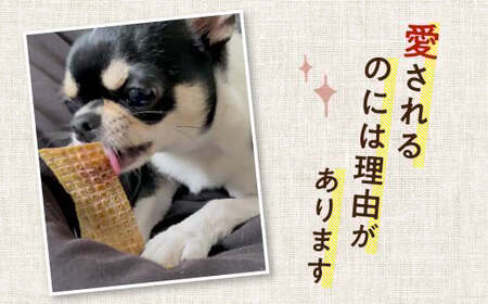 馬肉かみかみガム 3袋 25g×3袋 75g ペット用 馬肉 おやつ ヘルシー 無添加 手作り製法 ペット 愛犬 犬用