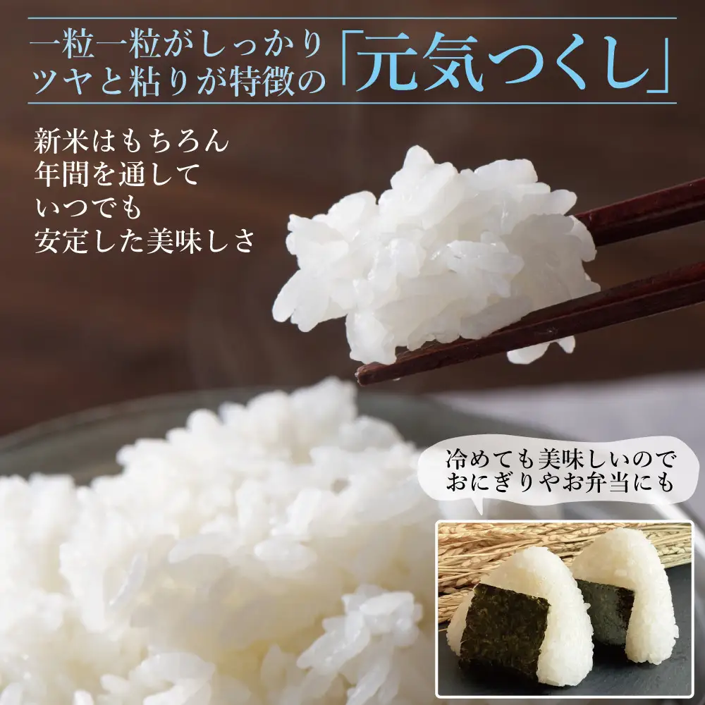 《令和7年産》福岡県大川市産 ブランド 米「 元気つくし 」 5kg×2個　計10kg | お米 米 こめ 精米 白米 ライス ブランド米 ごはん ご飯
