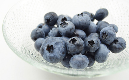 山形の朝摘み生ブルーベリー「ガイアの雫」500g(100g×5パック) 【令和8年産先行予約】FS25-705 くだもの 果物 フルーツ 山形 山形県 山形市 2026年産