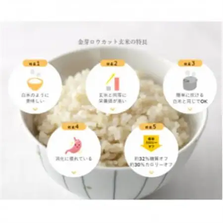 【2ヵ月毎定期便】金芽ロウカット玄米4kg(2kg×2袋)ふっくら柔らかい美味しさ!全2回【4056788】