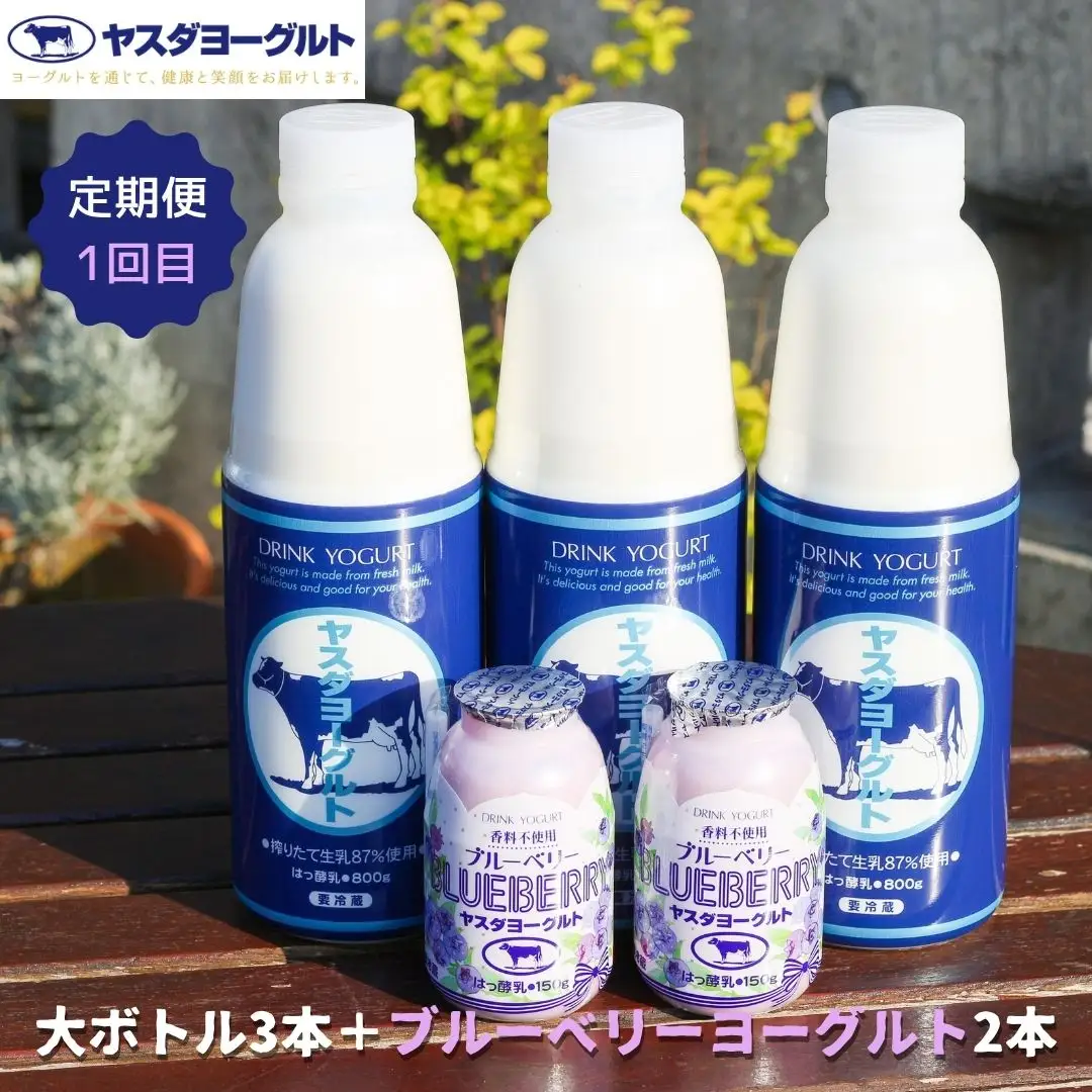 【3ヶ月定期便】ヤスダヨーグルト ちょい足しフルーツセレクションセットお試し便 大ボトル800g×3本＋小ボトル150g2本  無添加 搾りたて こだわり生乳 濃厚 飲むヨーグルト のむよーぐると ヨーグルト 1B86019