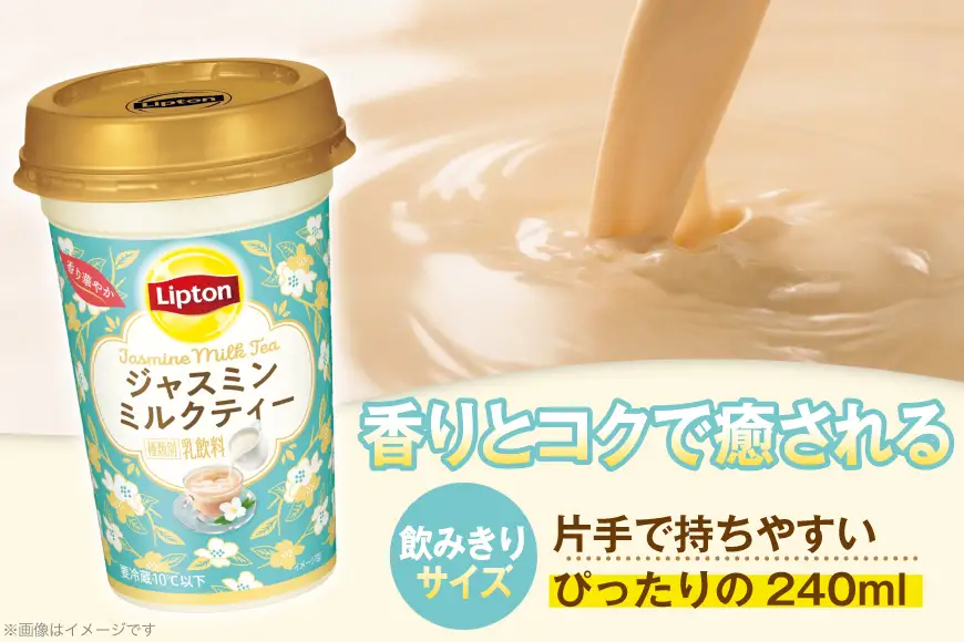リプトン ジャスミンミルクティー 240ml 10本 計2400ml 森永乳業 [翔栄通商 愛知県 江南市 ko23btu570066]