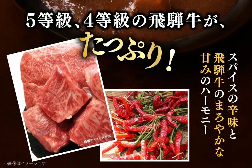 肉のくまざき特製 飛騨牛ビーフカレー 6個セット [熊崎畜産 愛知県 江南市 ko23btu560001]
