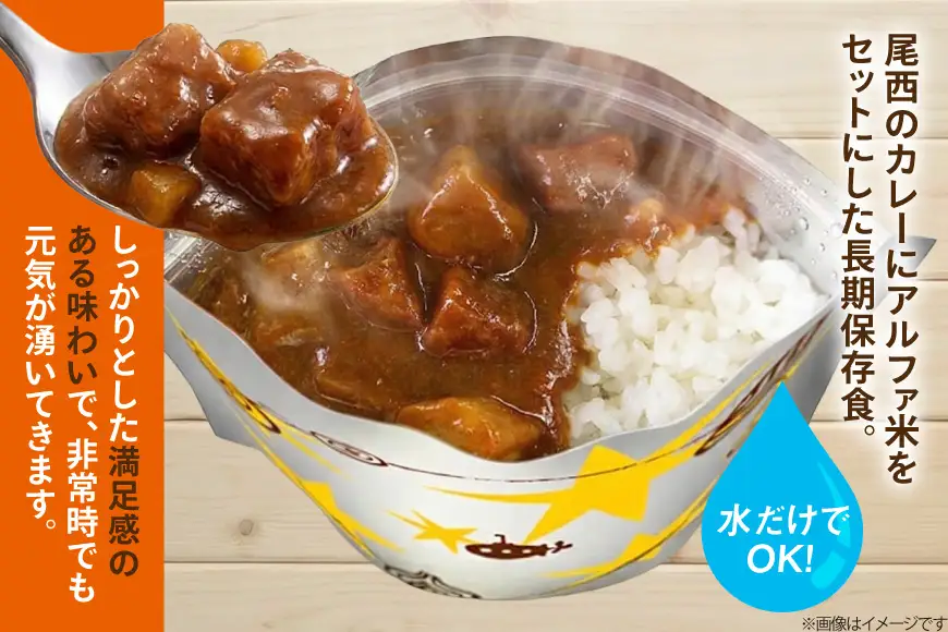 Coco壱番屋監修 尾西のカレーライス 10食 セット [サワセイ 江南店 愛知県 江南市 ko23btu100014]