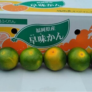 福岡限定!オリジナルブランドみかん「早味かん」約2kg【011-0098】