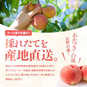 南信州産 桃 約3kg〈 あかつき ・ 白鳳 〉 【2026年7月より順次発送】 | 果物 くだもの フルーツ 柿 桃 もも あかつき 白鳳 長野県 信州 南信州 飯田市