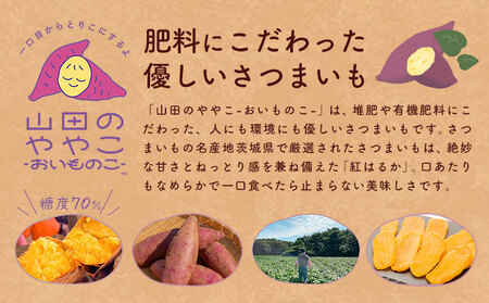 干し芋 山田のややこ おいものこ 干し芋セット 300g  《30日以内に出荷予定(土日祝除く)》ゆうゆう農園 芋 さつま芋 干し芋 紅はるか 干し芋 【配送不可地域あり】（沖縄・離島）