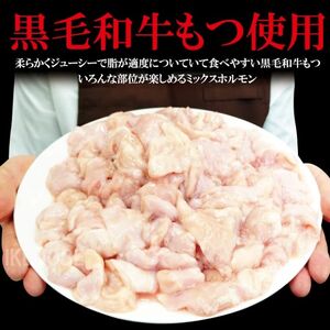 たれ漬けホルモン焼 2kg(250g×8P) 牛肉 黒毛和牛【ホルモン】【ho1492】