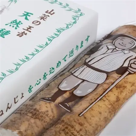 国産自然薯800g【配送不可地域：離島】【1620191】