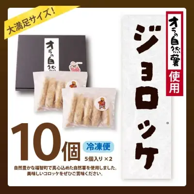 Y19-09 じねんじょコロッケ ジョロッケ 10個セット 自然薯 コロッケ