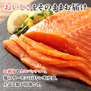 【数量限定】スモークサーモン とっとり 琴浦 グランサーモン 1kg（3～10パック）