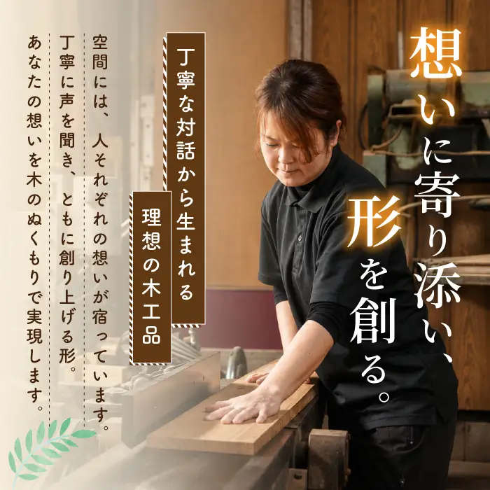 きょうりゅうのこどもいす さきやま木工 IB116-012 椅子 椅子 