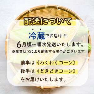 【先行予約】 とうもろこし 2.5㎏  とうもろこし ぐりぱ