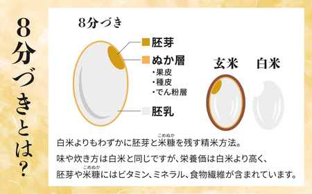 【先行受付2026年発送】長野県産！生きた土壌で育った御牧原米こしひかり 白米（八分づき・令和8年産）　5kg｜里山JAPAN　※2026年10月上旬以降に発送予定