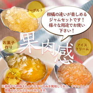 isa680 3種の柑橘ジャム食べ比べセットB(計3個・ボンタン、サワーポメロ、紅甘夏 各140g) 加工食品 果物 フルーツ 詰め合わせ 果肉 柑橘 低糖 ハンドメイド ジャム ギフト マーマレード 【薩摩美食倶楽部】