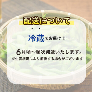 【先行予約】 枝豆 1.5kg えだまめ ぐりぱ