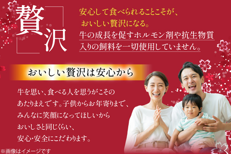 牛肉 緋桜肉 焼肉 プレミアム セット 計1.6kg [イノベスタ 沖縄県 伊江村 ie47bde380003]