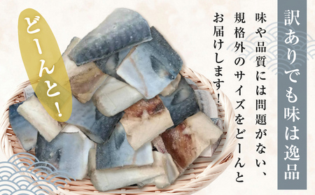＜数量限定＞ 訳あり 塩サバ 切身 400個 冷凍 サバ 鯖 魚 青魚 塩さば 切り身 規格外 ご家庭用 焼き魚 焼魚 おかず お弁当 焼くだけ 簡単調理 サバ フィレ わけあり 鯖フィレ サバフィーレ 切身 宮城県 石巻 石巻市