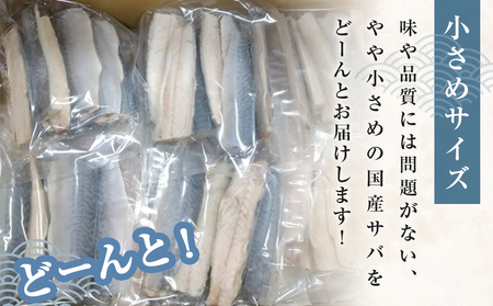 小さな 国産 塩サバ 6kg  ( 200g × 30パック ) 冷凍 サバ 鯖 魚 青魚 塩さば 切り身 ご家庭用 焼き魚 焼魚 おかず お弁当 焼くだけ 簡単調理 サバ フィレ 鯖フィレ サバフィーレ 切身 宮城県 石巻 石巻市