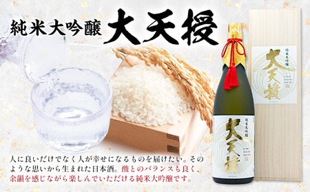純米大吟醸 大天授 720ml  1本《30日以内に出荷予定(土日祝除く)》麻原酒造株式会社 茨城県 河内町 酒 日本酒 【配送不可地域あり】