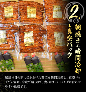 【3ヶ月定期便】鰻 国産鰻蒲焼 2パック 約 120g ×2 有限会社安井家《お申込み翌月から出荷》千葉県 我孫子市  鰻 うなぎ 蒲焼 丑の日 蒲焼き 冷蔵 タレ 山椒【配送不可地域あり】(離島)