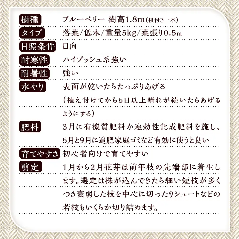 植木　ブルーベリーの木　株立ち　1.8ｍ