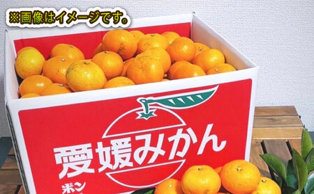愛媛みかん 訳あり 南柑20号 10kg 誉農園 愛媛みかん B010-138011