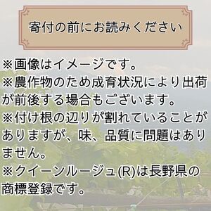 クイーンルージュ(R) 約1.8kg＜9月中旬より発送＞