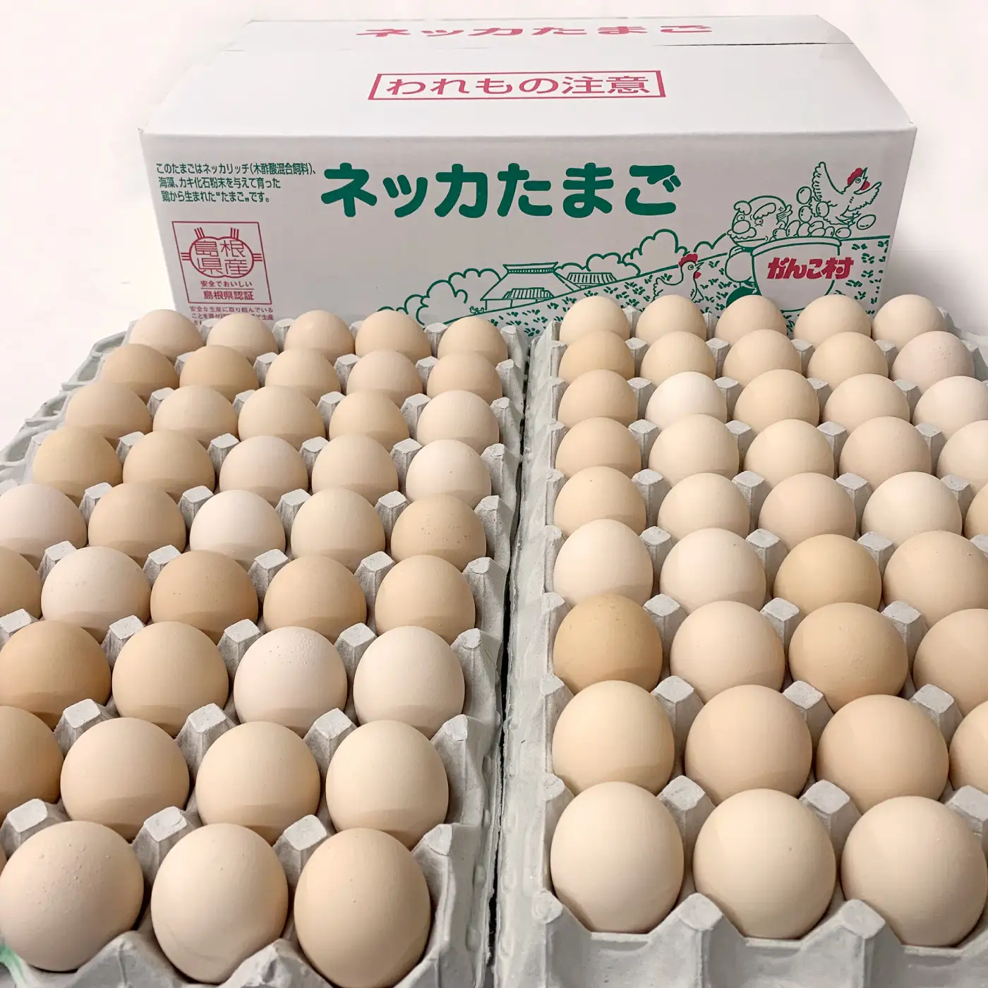  新鮮 石見のネッカたまご 90個 美味しまね認証 