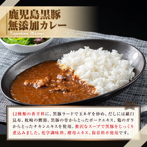 【0075132a】＜おためし＞鹿児島黒豚無添加カレー(計400g・200g×2P) 黒豚 豚肉 ぶた肉 カレー カレーライス かれーらいす 惣菜 【鹿児島ますや】