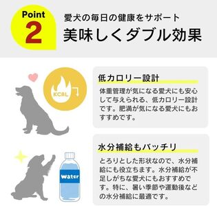 とろーりおやつ 犬用（チキン＆チーズ入り）150g×48個_とろーりおやつ 犬用 150g × 48個 チキン＆チーズ入り とろける 口当たり おやつ 液状タイプ 低カロリー 体重管理 水分補給 長期保存 キャップ付き スパウトパウチ 福岡県 久留米市 〔Pf068-02〕