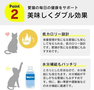 とろーりおやつ 猫用（ツナ＆ほたて味）150g×48個_とろーりおやつ 猫用 150g × 48個 ツナ＆ほたて味 液状タイプ おやつ 水分補給 低カロリー 体重管理 長期保存 キャップ付き スパウトパウチ 福岡県 久留米市 〔Pf069-01〕