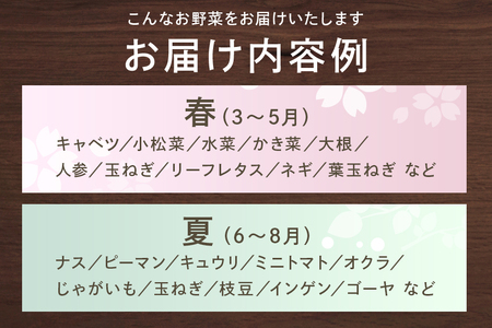 石岡の旬野菜詰め合わせ 約10品目 新鮮野菜セット (B01-001)