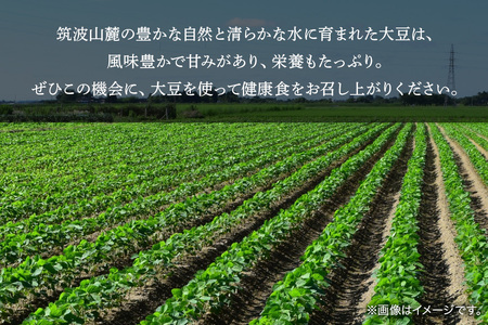 極小粒　大豆 30kg  岡田ファーム だいず ダイズ 国産 小粒 大容量 料理 煮豆 豆乳 納豆 用途多彩 健康食品 高たんぱく 保存食 産地直送 送料無料 (B02-026)