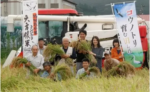 令和7年産 減農薬米 特別栽培米 六方銀米 コシヒカリ 10kg （5kg×2袋）/ 減農薬 米  お米 10キロ 精米 白米 コウノトリ米 コメ こめ ご飯 ライス こしひかり 兵庫県産