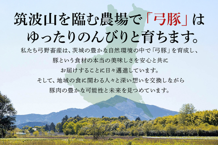 弓豚 ミンチ こま切れ セット 2.6kg 豚肉 和豚 銘柄豚 肉 粗挽き 国産 高品質 希少 産地直送 ヘルシー 家庭用 ギフト 冷凍 【先行予約 2026年3月以降発送予定】 (C01-006)