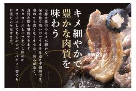 弓豚 焼肉 セット 2.4kg 豚肉 和豚 銘柄豚 肉 カタロース バラ 焼肉 バーベキュー 国産 高品質 希少 産地直送 ヘルシー 家庭用 ギフト 冷凍 【先行予約 2026年3月以降発送予定】 (C01-009)